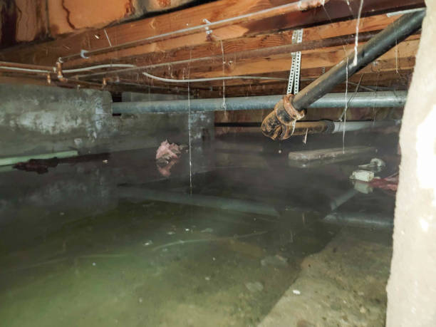 Water damage restoration process in FL