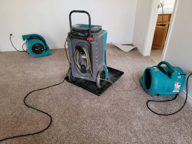 Best Flood damage cleanup  in Pine Air, FL