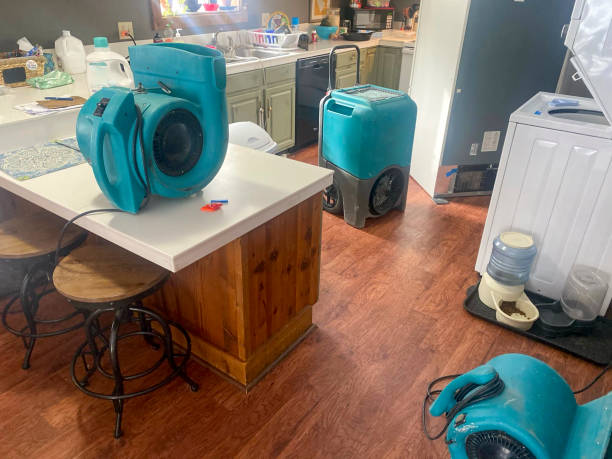 Best Mold removal after water damage  in Pine Air, FL