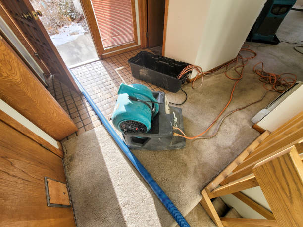 Best Water damage contractors near me  in Pine Air, FL