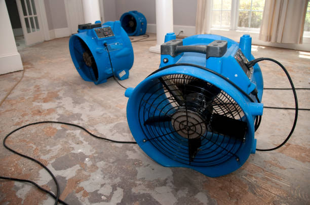 Best Flooded house restoration  in Pine Air, FL