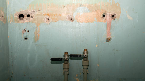 Best Residential water damage restoration  in Pine Air, FL
