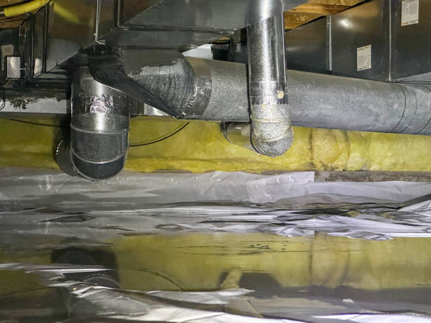 Best Water damage repair service  in Pine Air, FL