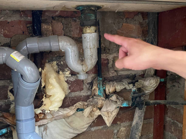  Pine Air, FL Water damage restoration Pros