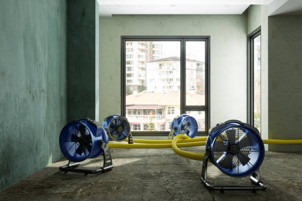 Best Water damage restoration near me  in Pine Air, FL