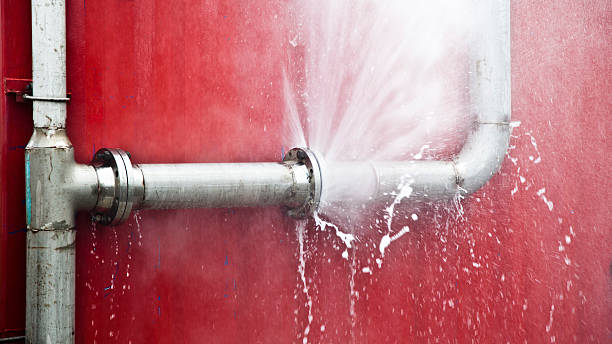Best 24-hour water damage restoration  in Pine Air, FL